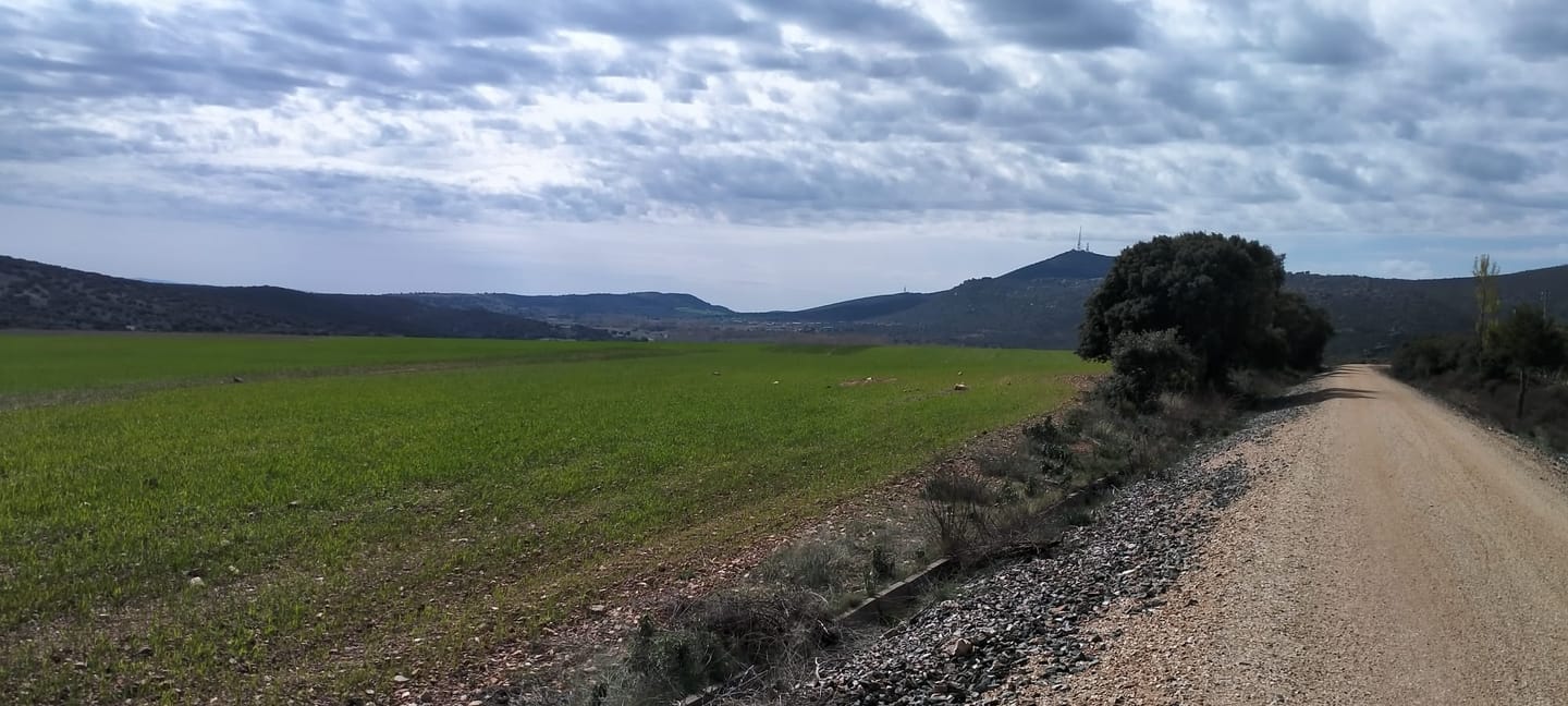 Tramo llano de la Vía Verde entre campos verdes, con la sierra al fondo bajo un cielo nublado