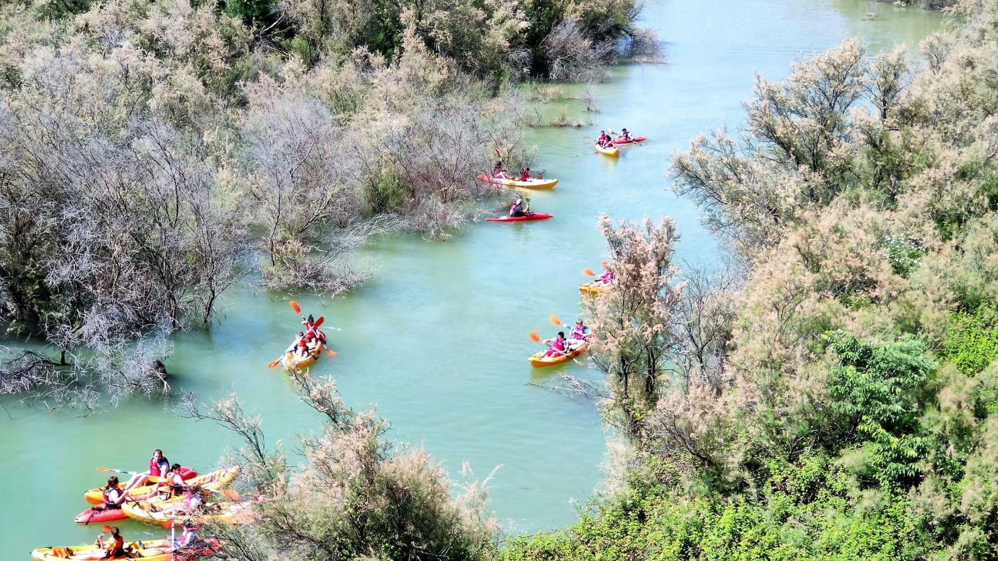 Vista aérea de varios kayaks sobre agua turquesa, entre vegetación de ribera