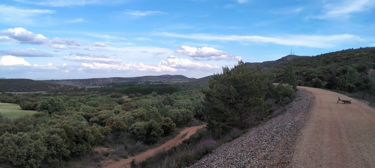 Tramo de la Vía Verde entre encinar, con las lomas de la sierra al fondo